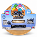 RMS Mystery Dumpling – Silver Ribbon Edition
